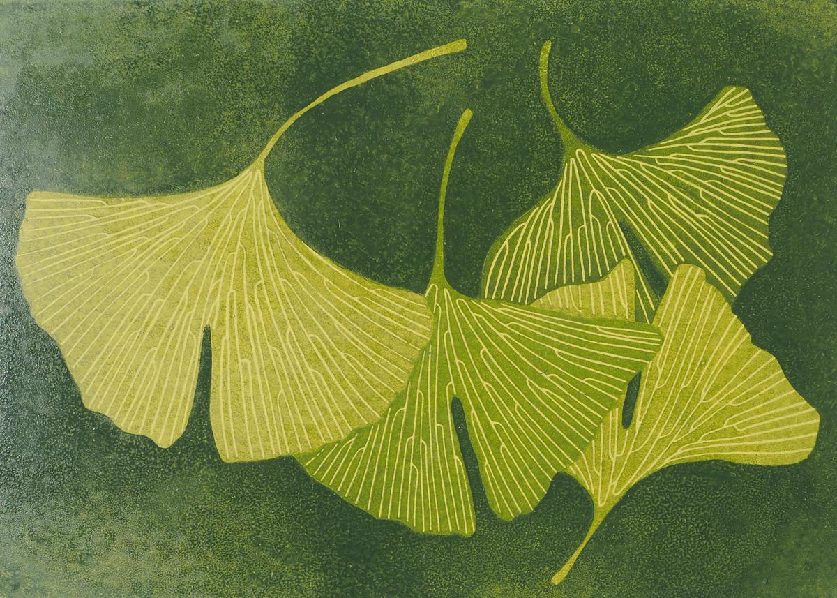 Ginkgo